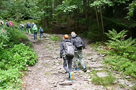 ausfluege-in-die-natur