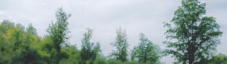 himmel und wald