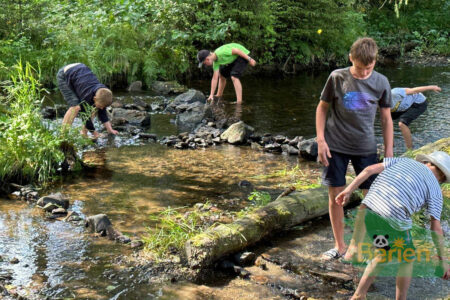 Staudamm bauen beim Feriencamp eine neu entdeckte Trendsportart in den Sommerferien für Kids im Schwarzwaldcamp 2024