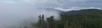 fog-above-the-treetops-of-the-blackforest